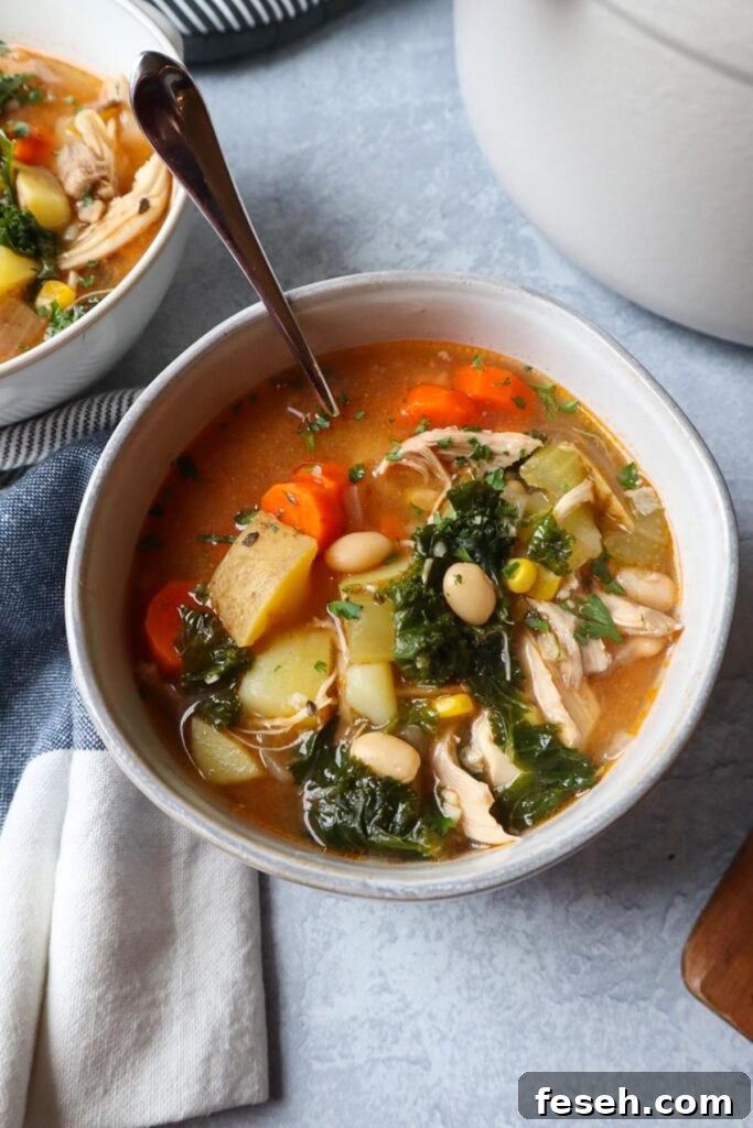 white bowl with a spoon with chicken soup with beans, kale, potatoes, carrots, and more.