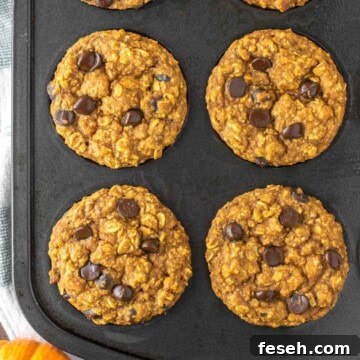 Pumpkin oatmeal muffins in muffin tin on dish towel.