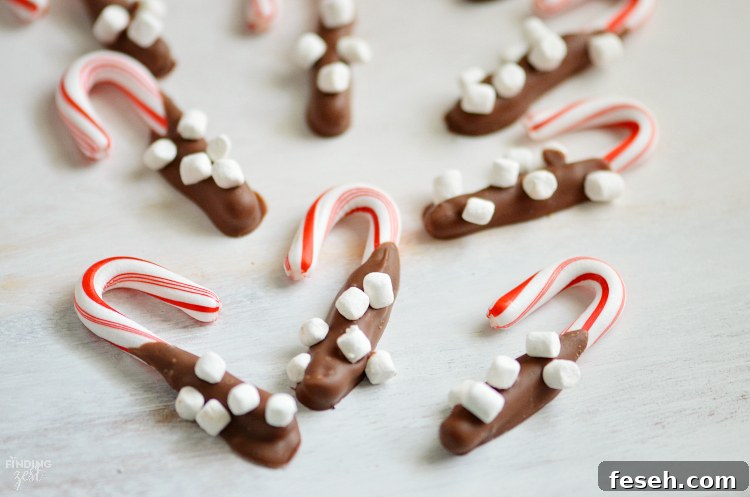 These chocolate dipped candy canes with marshmallows are perfect for kids to make as homemade gifts. Pair them with mugs and cocoa for a tasty gift basket or present them on their own. Such a simple but fun holiday food gift.