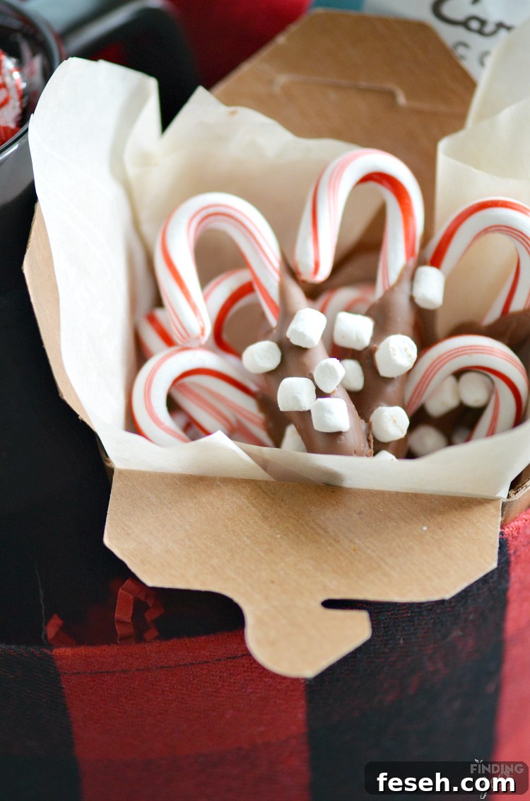 These chocolate dipped candy canes with marshmallows are perfect for kids to make as homemade gifts. Pair them with mugs and cocoa for a tasty gift basket or present them on their own. Such a simple but fun holiday food gift.