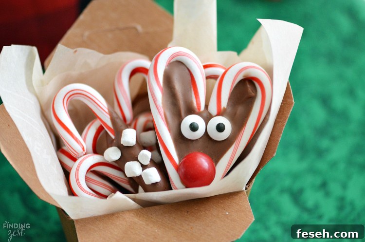These chocolate dipped candy canes with marshmallows are perfect for kids to make as homemade gifts. Pair them with mugs and cocoa for a tasty gift basket or present them on their own. Such a simple but fun holiday food gift.