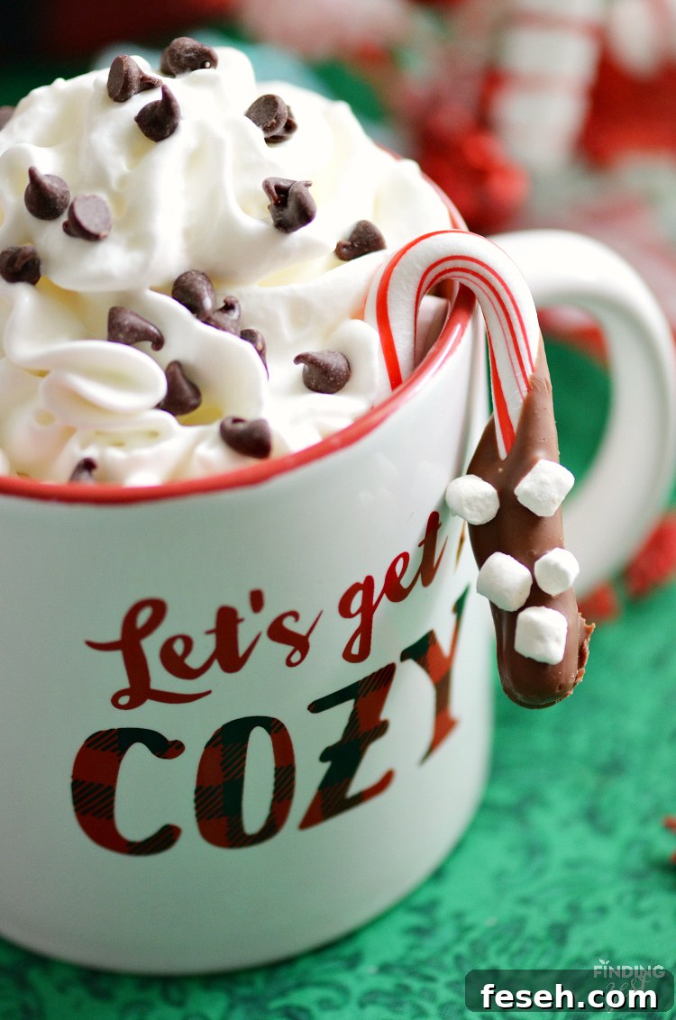These chocolate dipped candy canes with marshmallows are perfect for kids to make as homemade gifts. Pair them with mugs and cocoa for a tasty gift basket or present them on their own. Such a simple but fun holiday food gift.