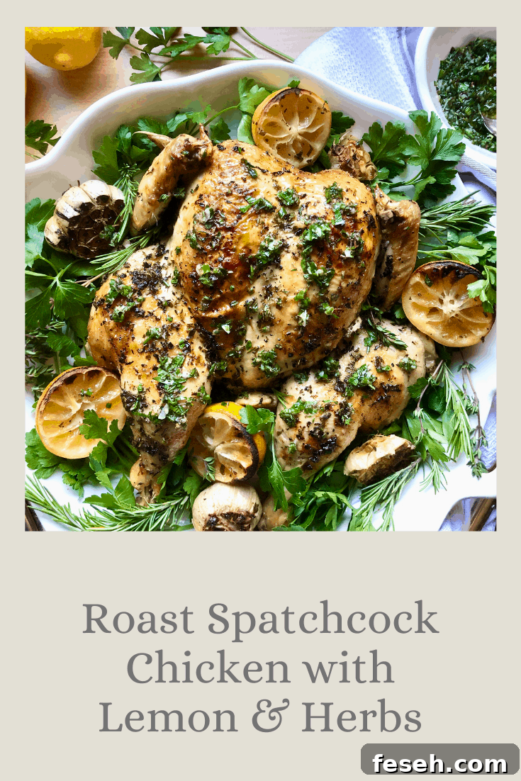Roast Spatchcock Chicken with Lemon & Herbs