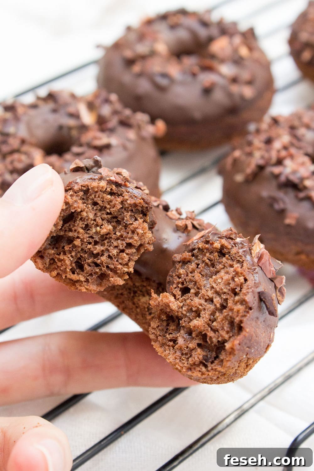 Baked whole wheat double chocolate banana donuts infused with cinnamon and topped with melted dark chocolate. These are made with all healthy ingredients, nutritious and contains no refined sugars!