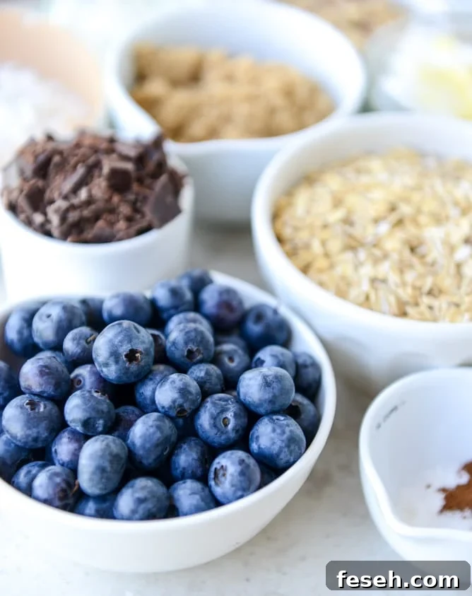 blueberry breakfast cookies I howsweeteats.com