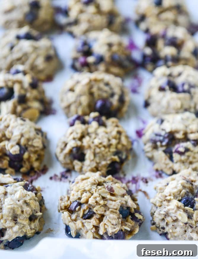 blueberry breakfast cookies I howsweeteats.com