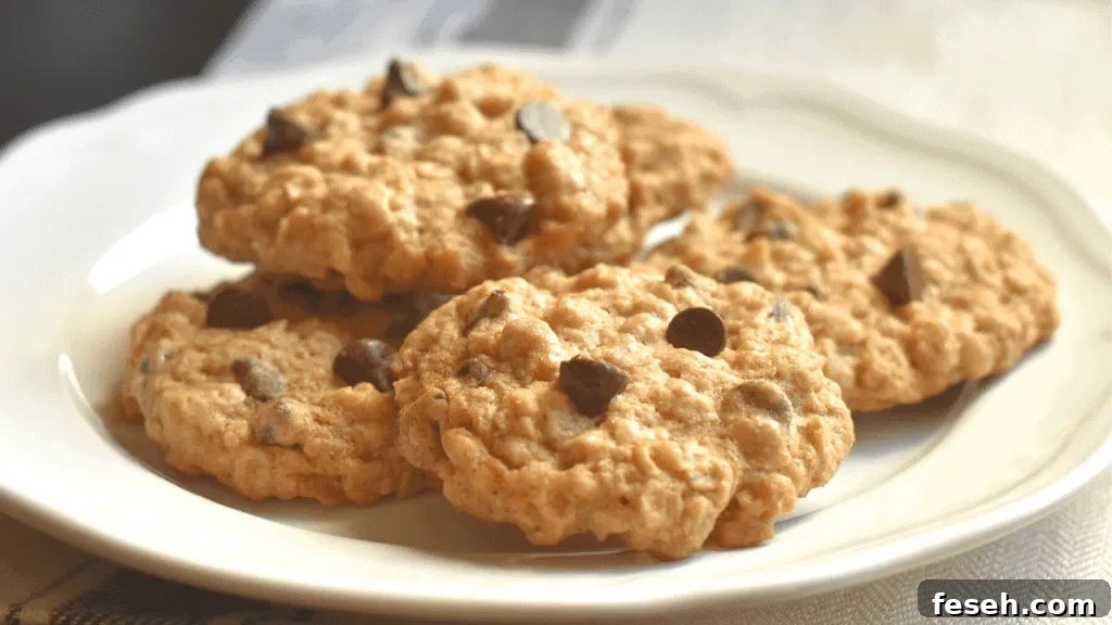 Oatmeal chocolate chip cookies