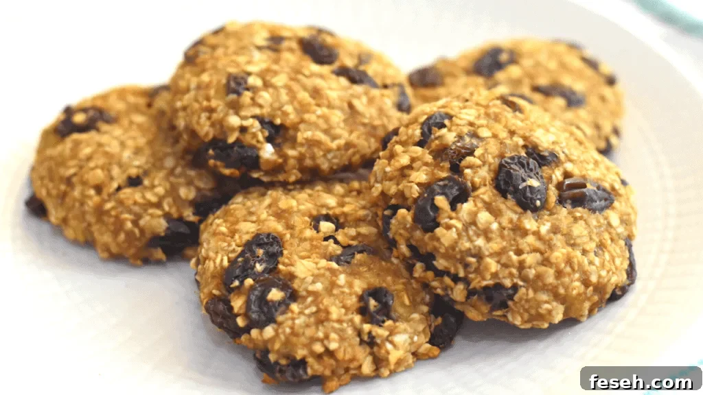 banana oatmeal cookies