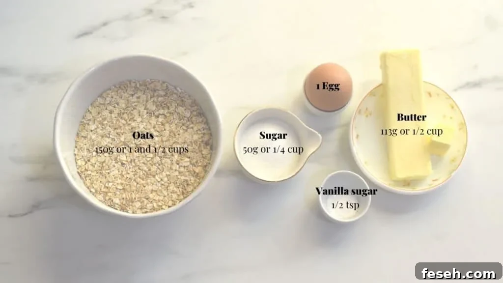 ingredients for making oatmeal cookies