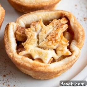 mini apple pie with leaf cut out top crust.