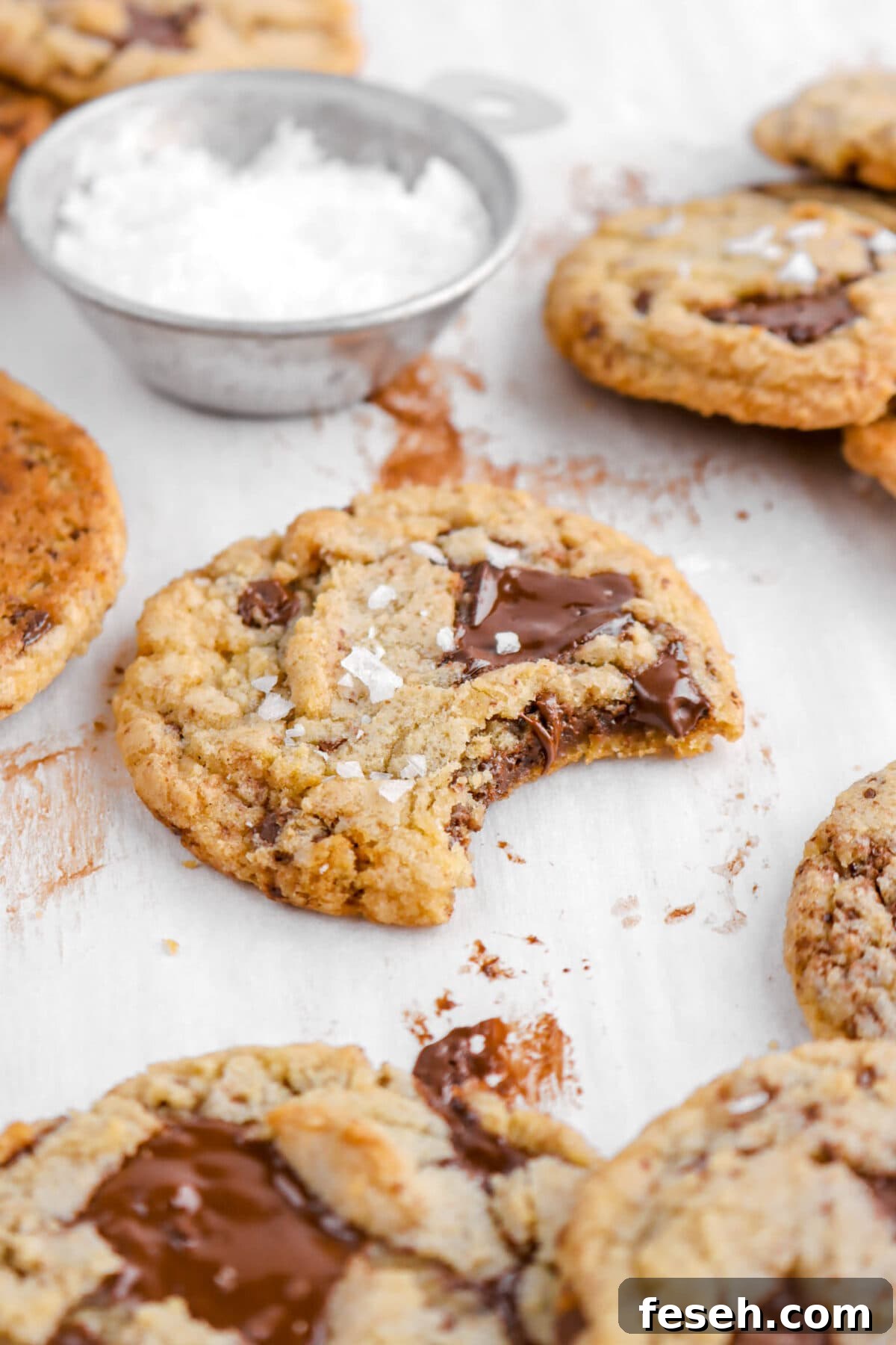close up angled shot of chocolate chip cookie with bite missing.