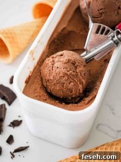 A scoop of double chocolate ice cream in the container.
