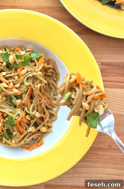 Soba Noodles with Peanuts, Carrots, and Snow Peas via LizsHealthyTable.com