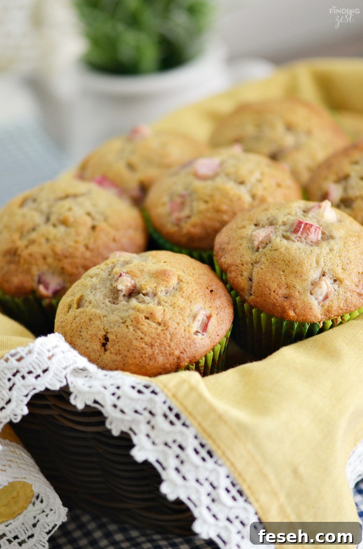 These homemade Rhubarb Banana Muffins offer the tartness of rhubarb and sweetness of banana in every delicious bite! Enjoy rhubarb for breakfast with this fresh muffin!