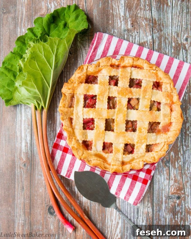 Not sure what to do with all that rhubarb you harvest? Get over 50 rhubarb recipes worth making during rhubarb season! These are the the best rhubarb recipes. From classic rhubarb desserts to healthy rhubarb recipes, this list has everything you need to use up that rhubarb!