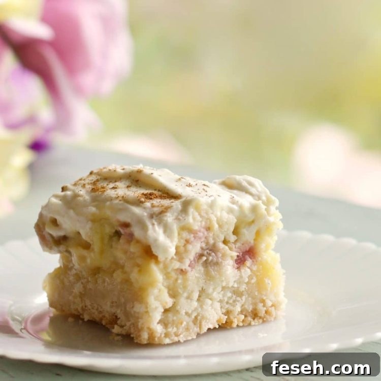 Not sure what to do with all that rhubarb you harvest? Get over 50 rhubarb recipes worth making during rhubarb season! These are the the best rhubarb recipes. From classic rhubarb desserts to healthy rhubarb recipes, this list has everything you need to use up that rhubarb!