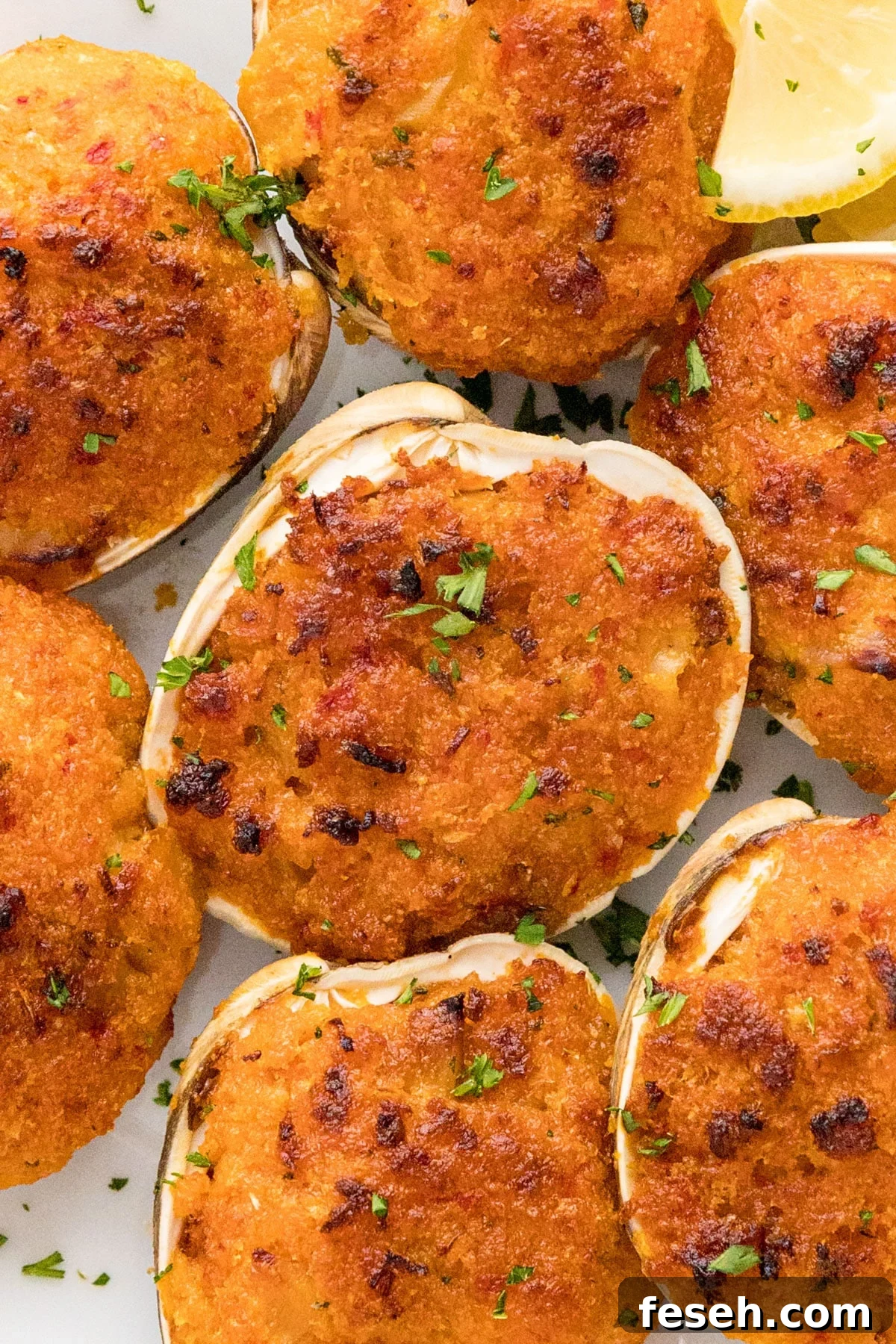 A close up overhead image of stuffed clams tightly next to each other.
