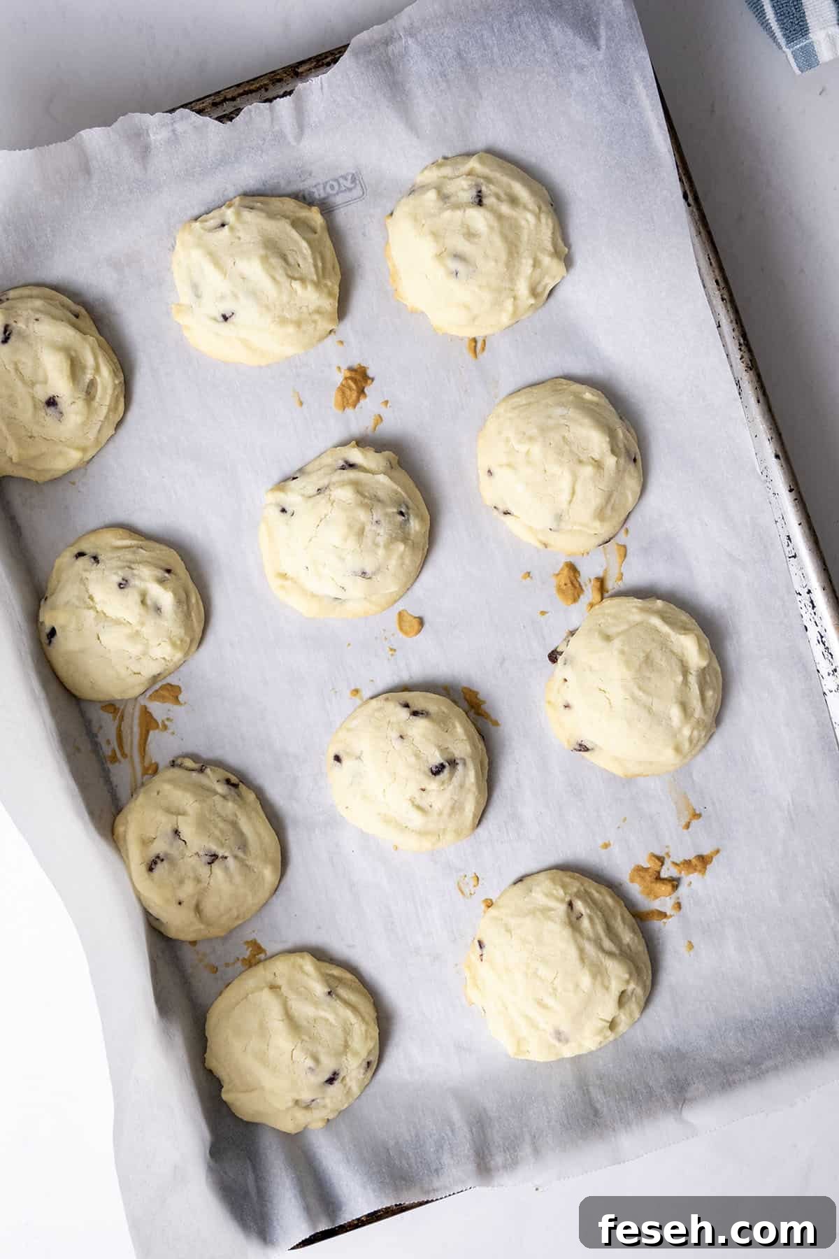 Cookies baked on the baking tray.