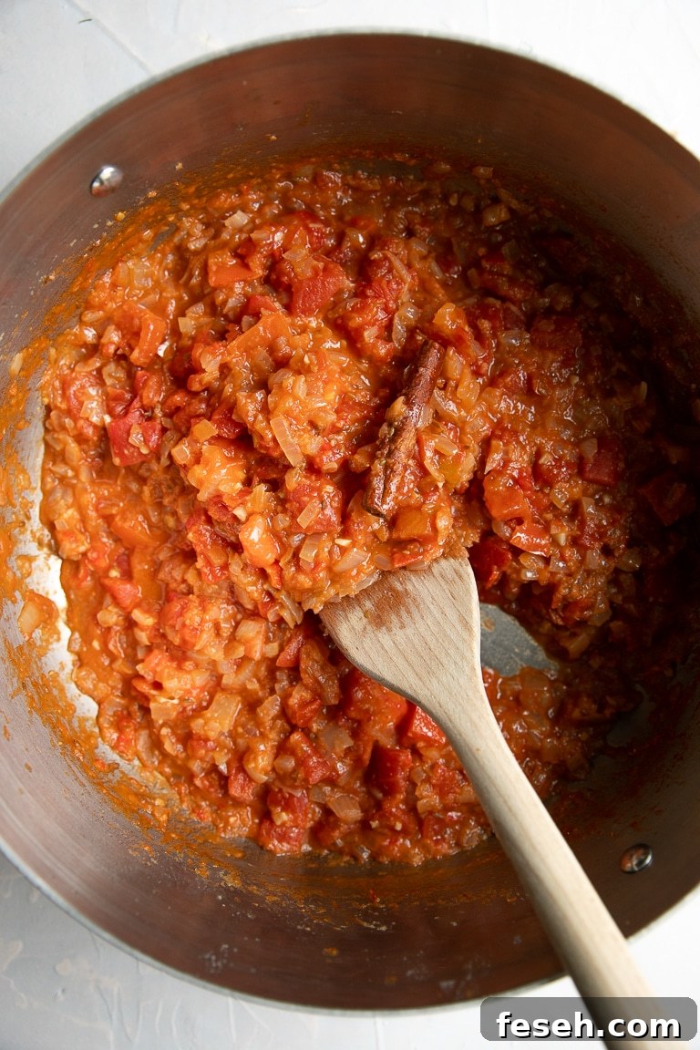 cinnamon stick, tomatoes, red chili powder, and salt is mixed with onions in the pot
