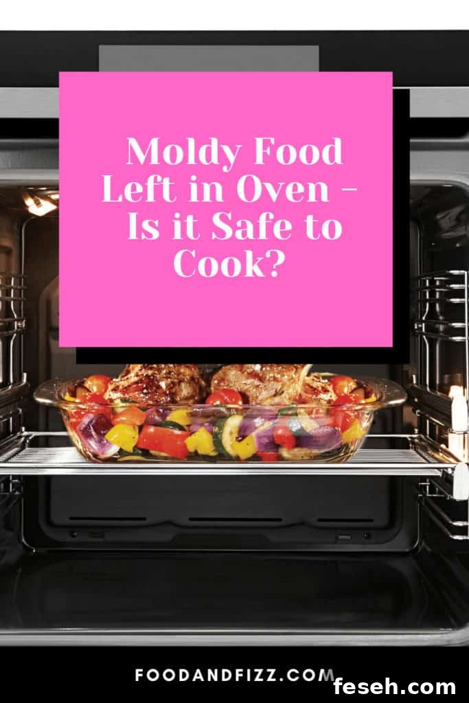 Moldy Food Left in Oven - Is it Safe to Cook?
