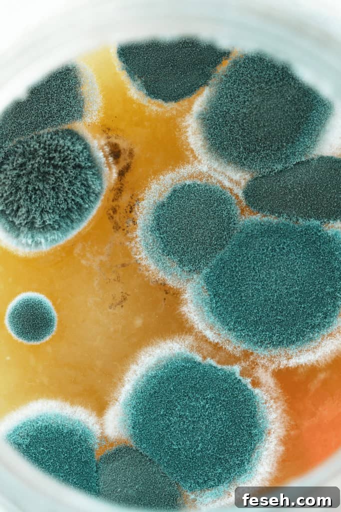 Some mold spores are killed by temperatures above 140-160°F but not all of them