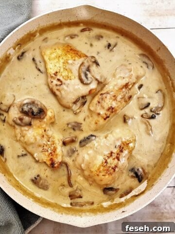 Overhead shot of chicken marsala in creamy mushroom sauce,i n a frying pan