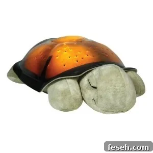Twilight Turtle