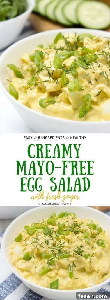 No Mayo Ginger Egg Salad loaded with healthy nutrients.