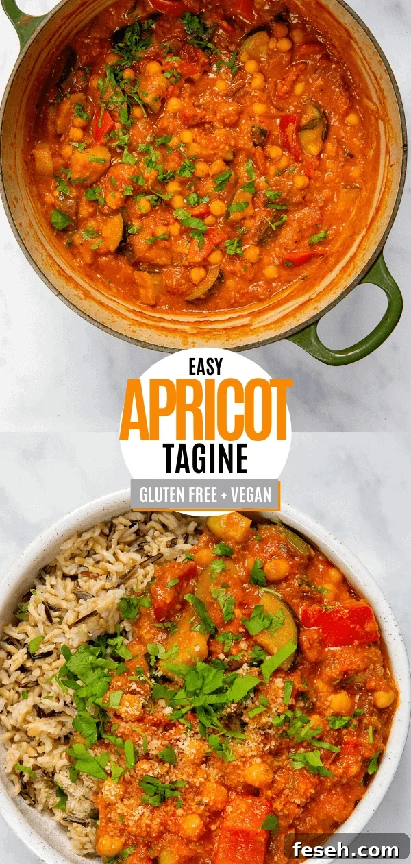 Apricot Tagine Pin
