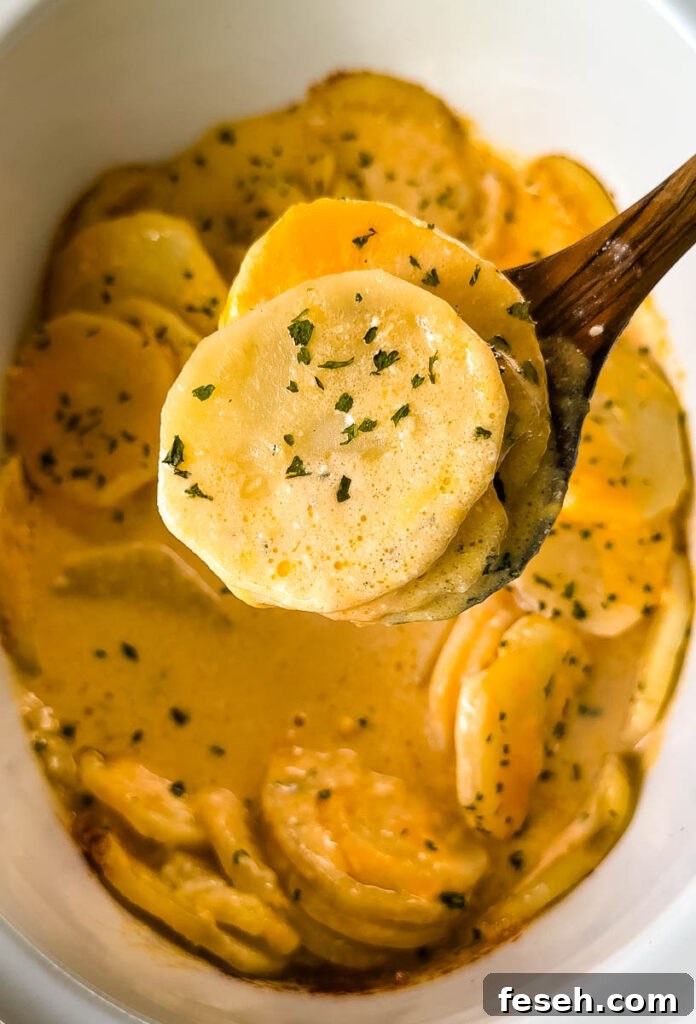 wooden spoonful of slow cooker Crockpot cheesy potatoes