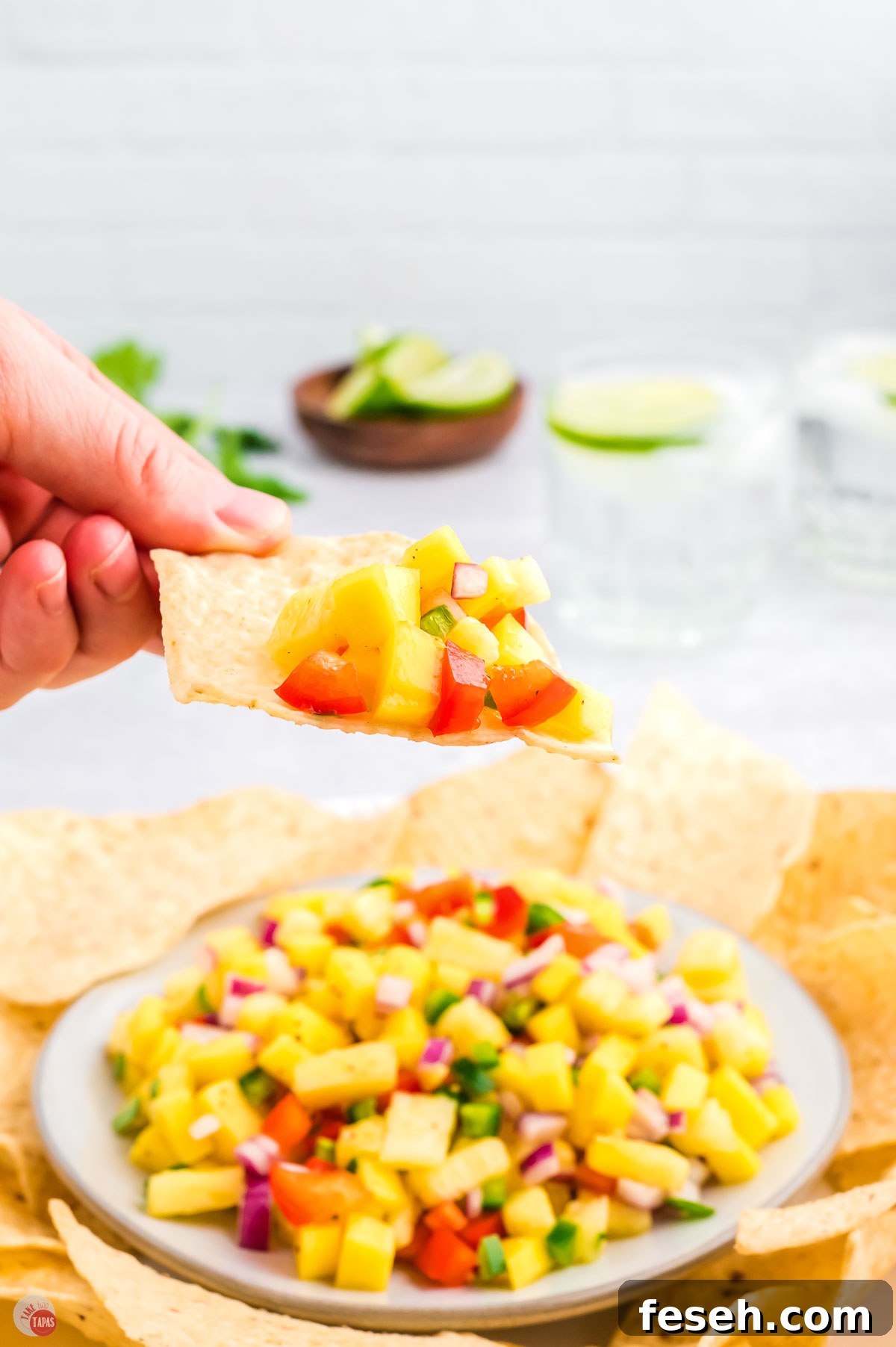 hand holding a tortilla chip with salsa on it