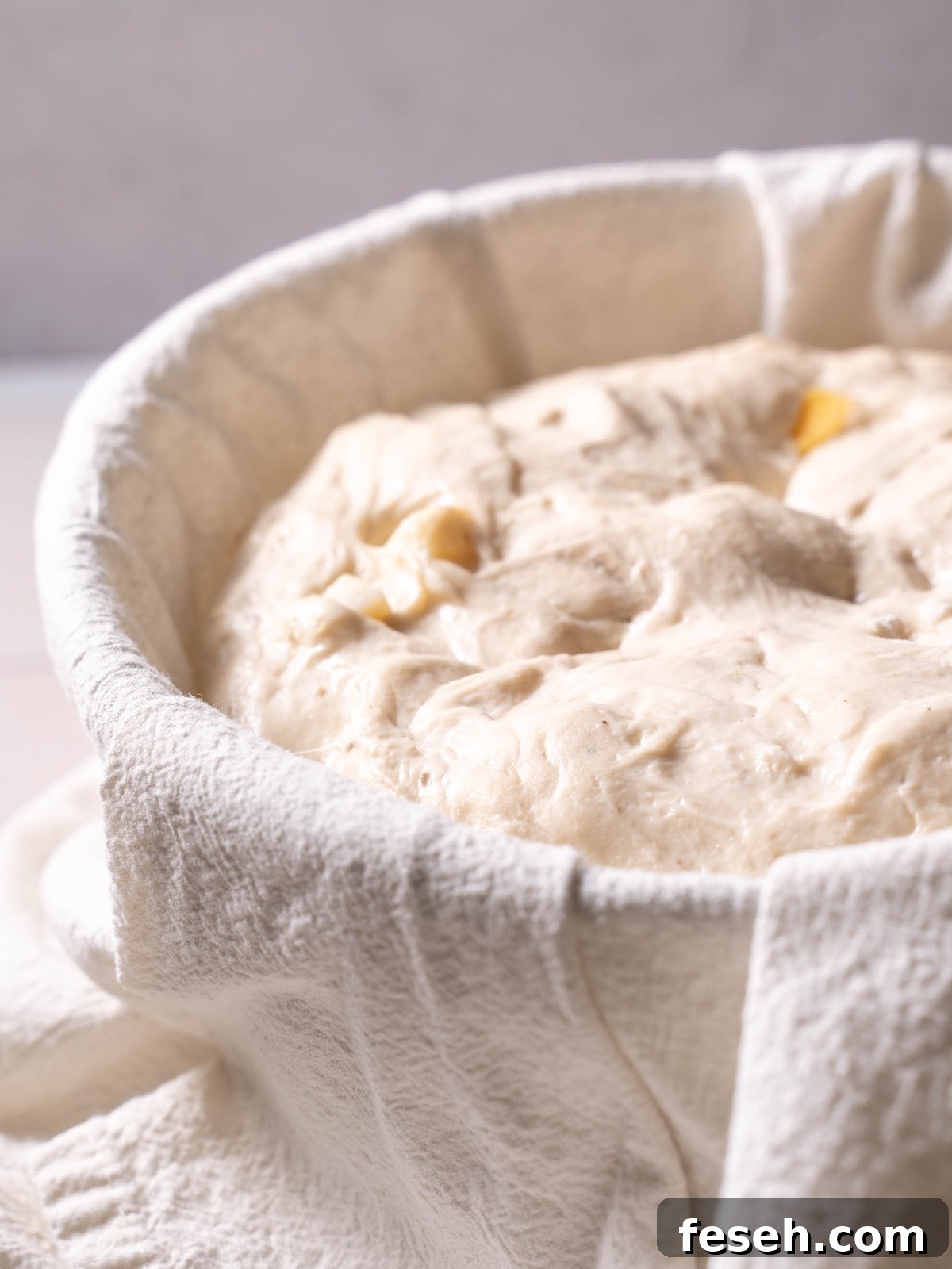 Cheesy sourdough bread perfectly proofed and ready to bake