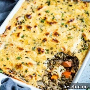 creamy lentil and vegetable bake