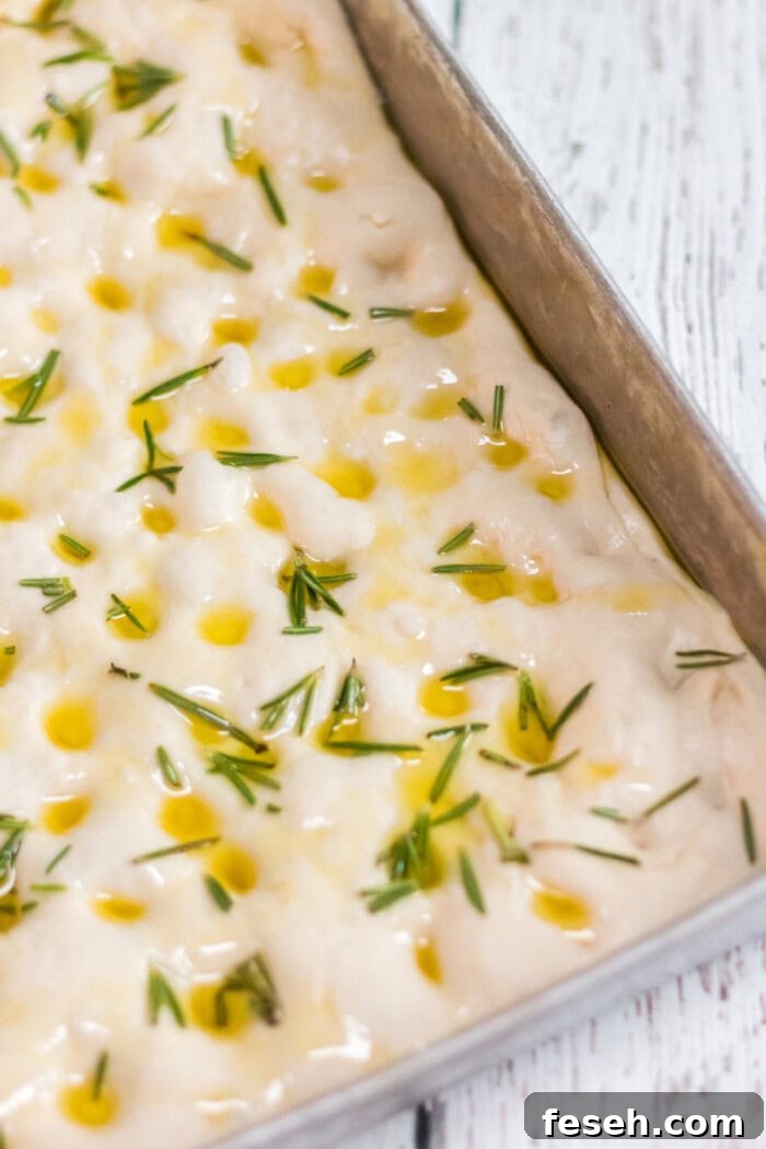 bread dough in a pan with poked holes, olive oil and herbs