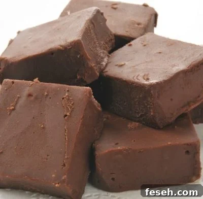 2 Ingredient Chocolate Fudge