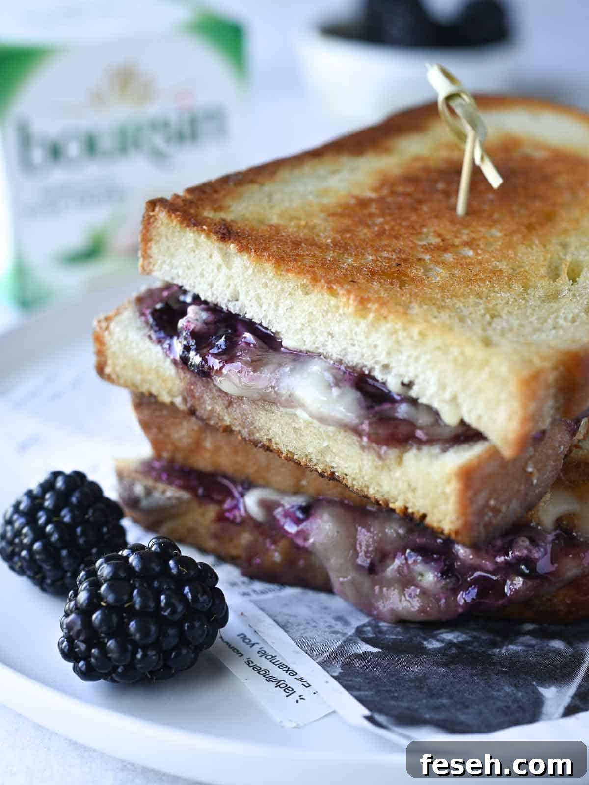 Blackberry boursin grilled cheese on a white plate with blackberries in the foreground.
