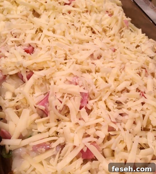 grated Swiss cheese on top of left over layers
