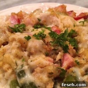 Serving of Left Over Thanksgiving Casserole