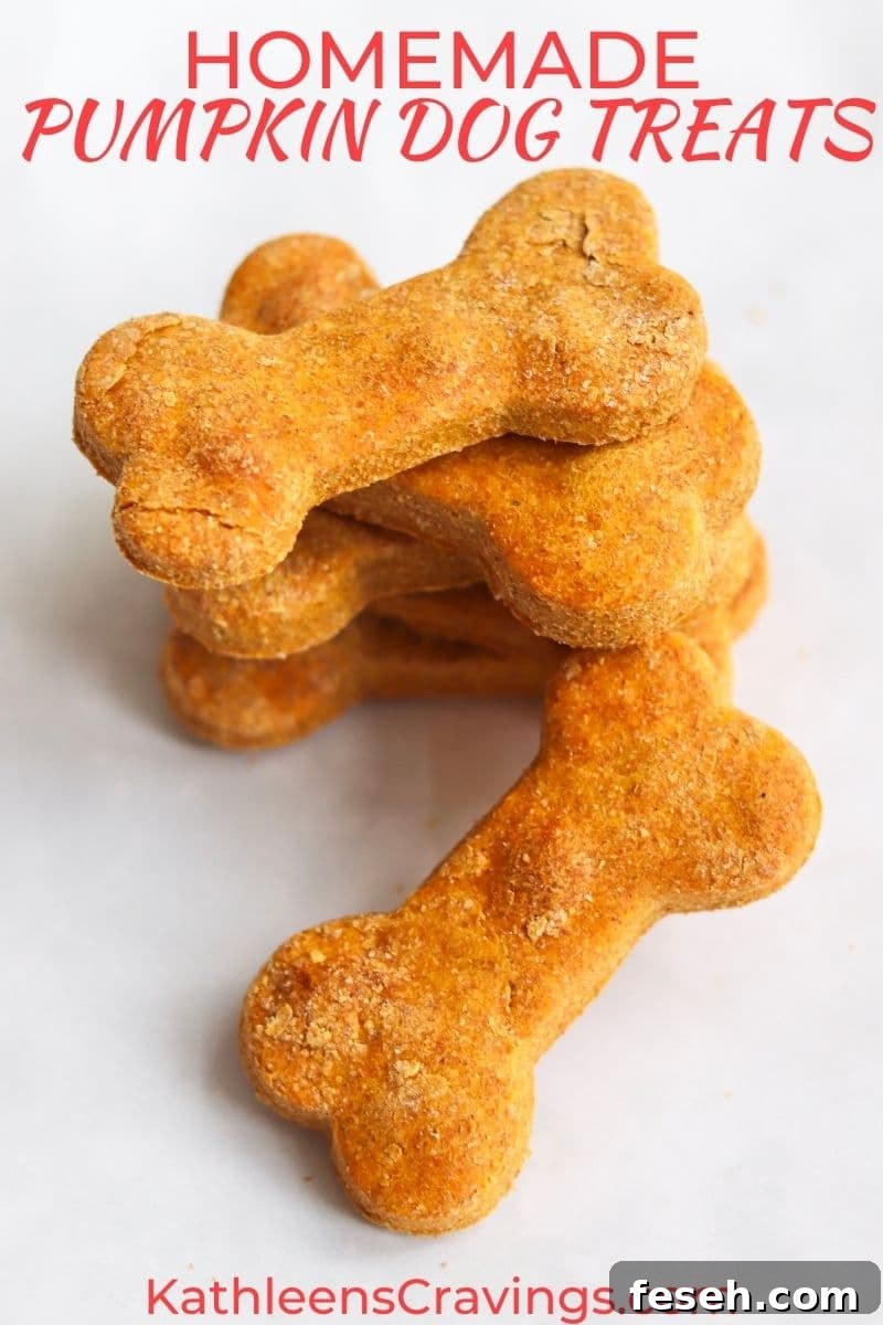 Stack of homemade peanut butter pumpkin dog treats in a bone shape