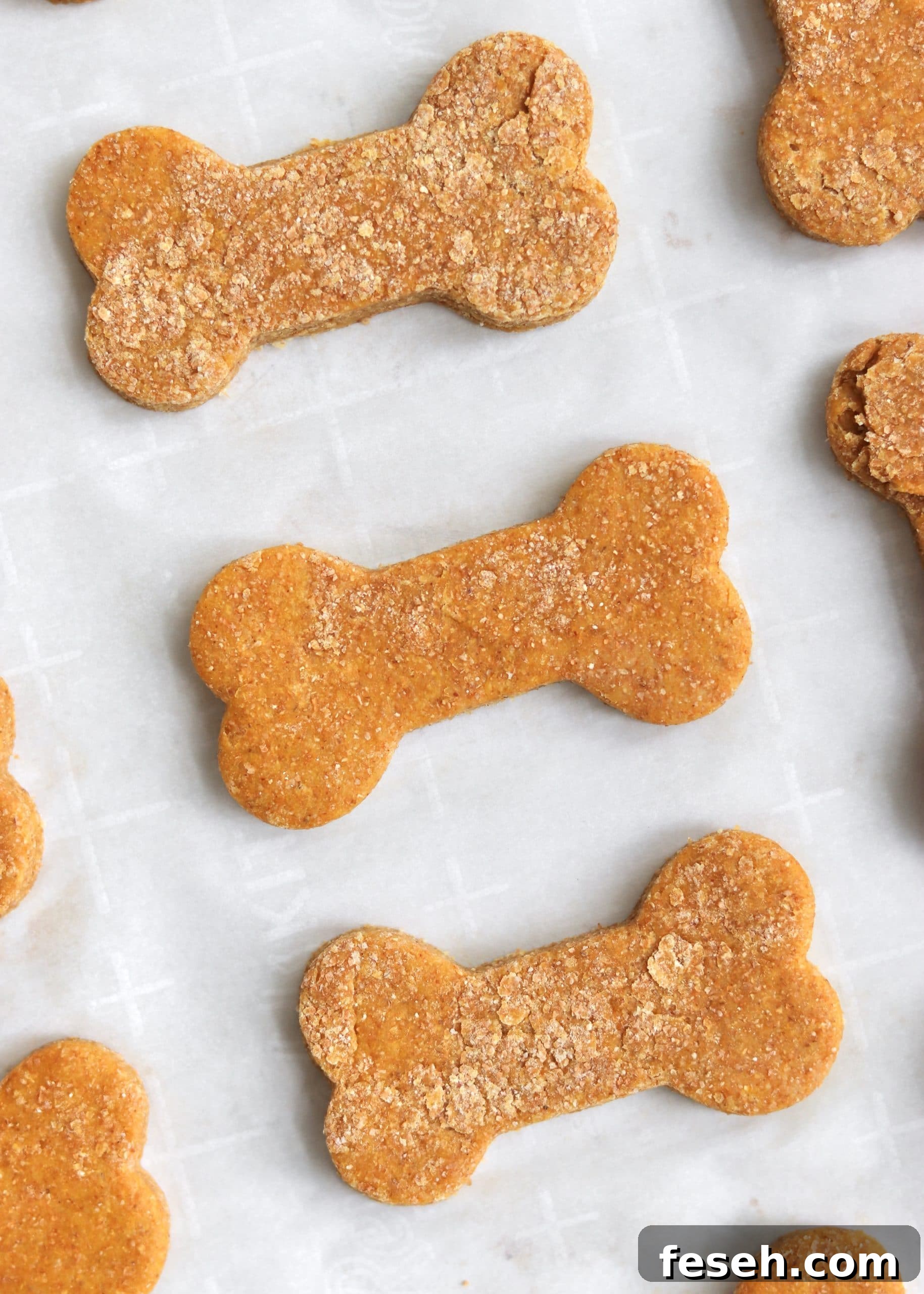 Unbaked pumpkin dog treats