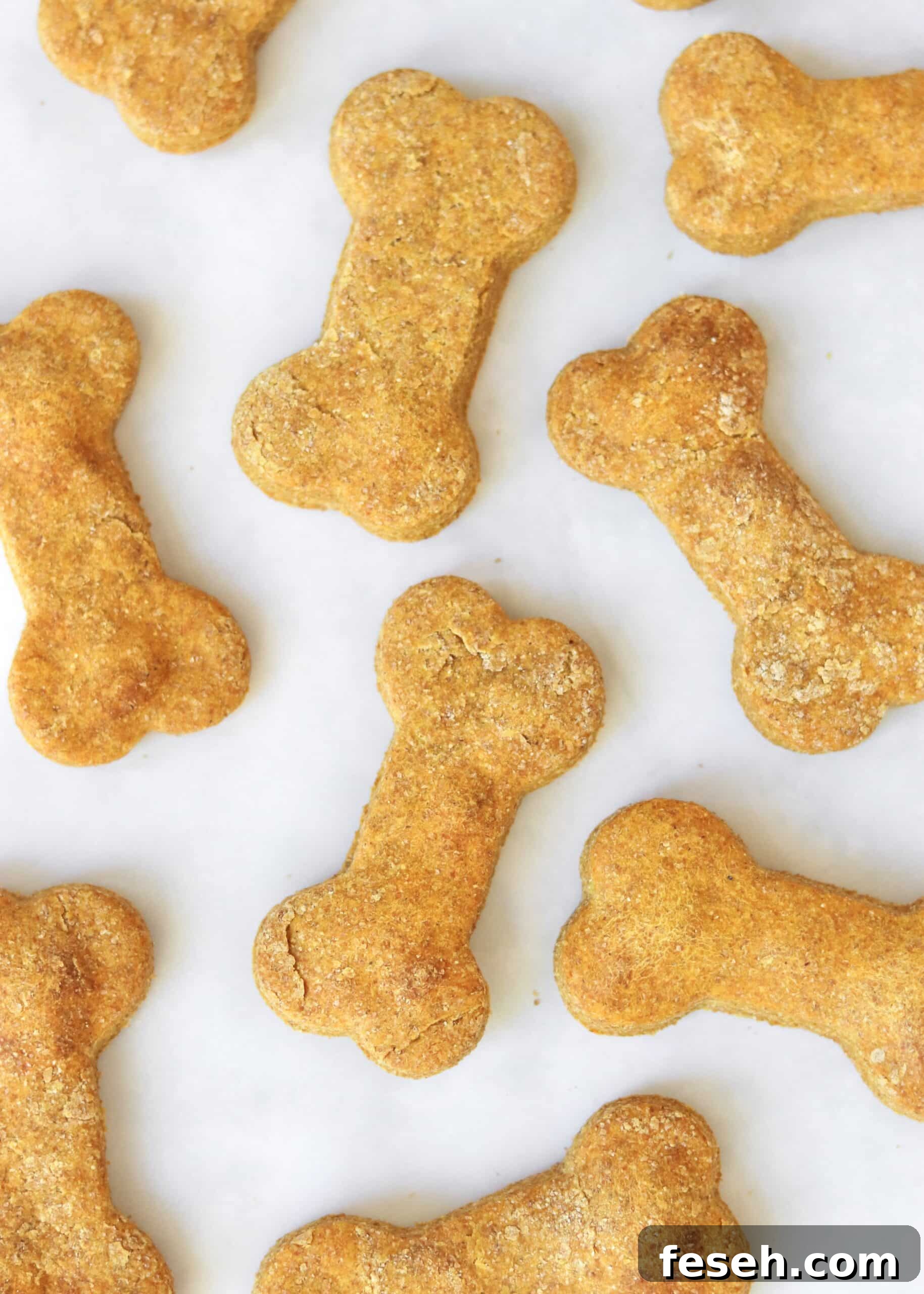 homemade pumpkin peanut butter dog treats cut in bone shape