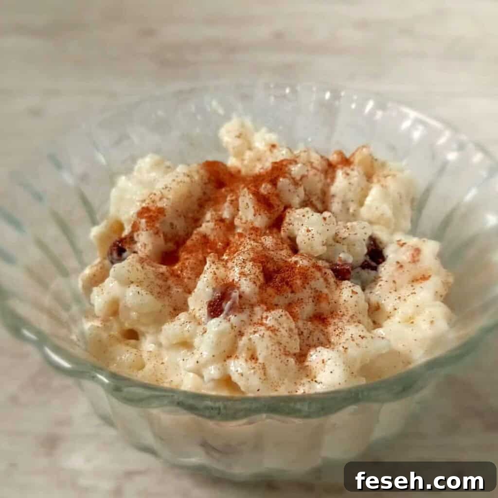 a glass bowl of raisin rice pudding sprinkled with cinnamon and nutmeg.