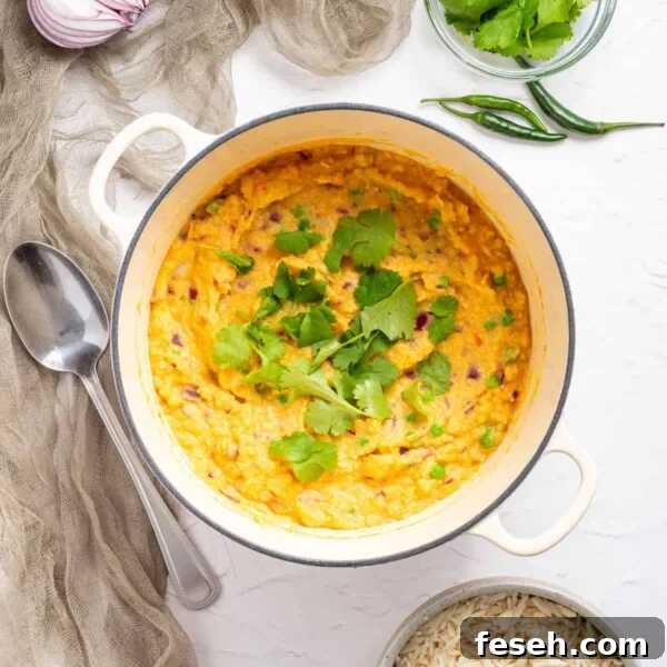 An overhead image of vegetable korma in a bowl.