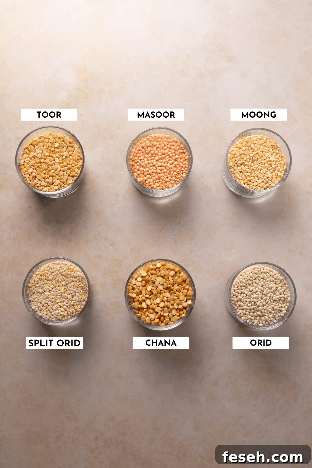 Labeled list of different types of lentils showing the physical difference