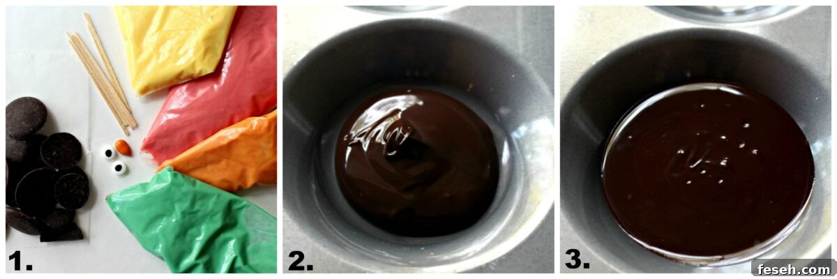 Instructions: colored chocolate, candy eyes, toothpicks, melted chocolate in muffin pan, flattened chocolate.