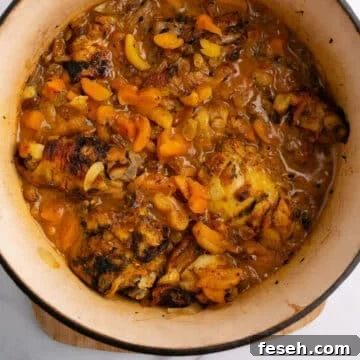 A zoom in image on a pot with chicken tagine and apricots.