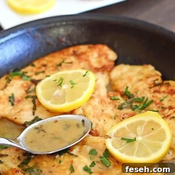 A pan with no wine chicken francese pieces topped with lemon rinds with a spoon scooping the sauce.