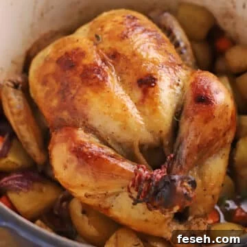 A roast chicken with vegetables on a large pot.