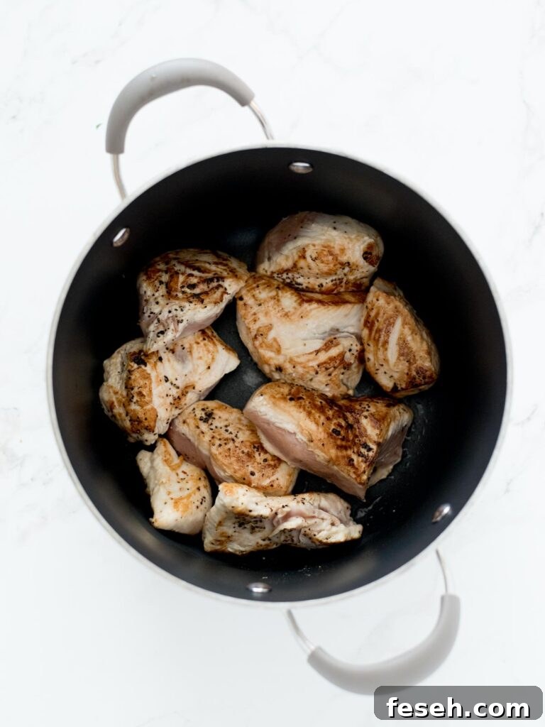 seared chicken in soup pot
