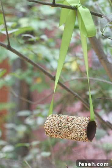 Bird Feeder | Toilet Paper Roll Crafts